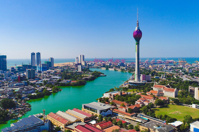 Wildlife & Beach Escape