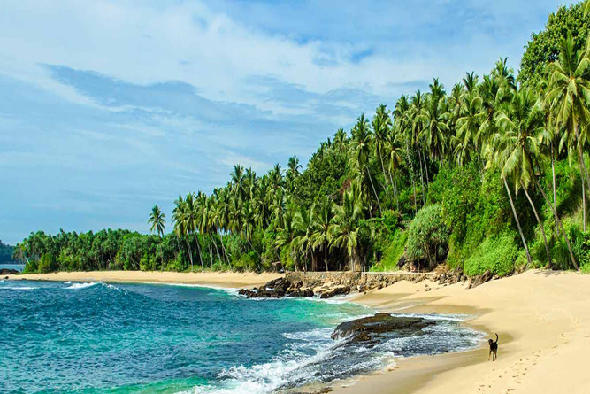 Wildlife & Beach Escape