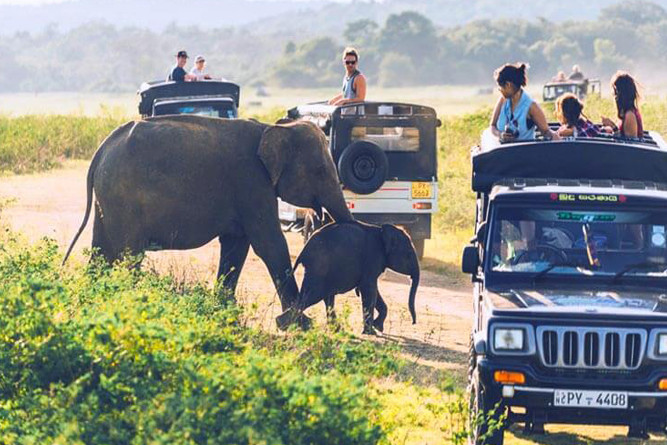 Luxury Villas Escape