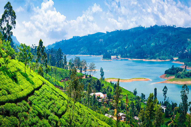 Highlights of Sri Lanka